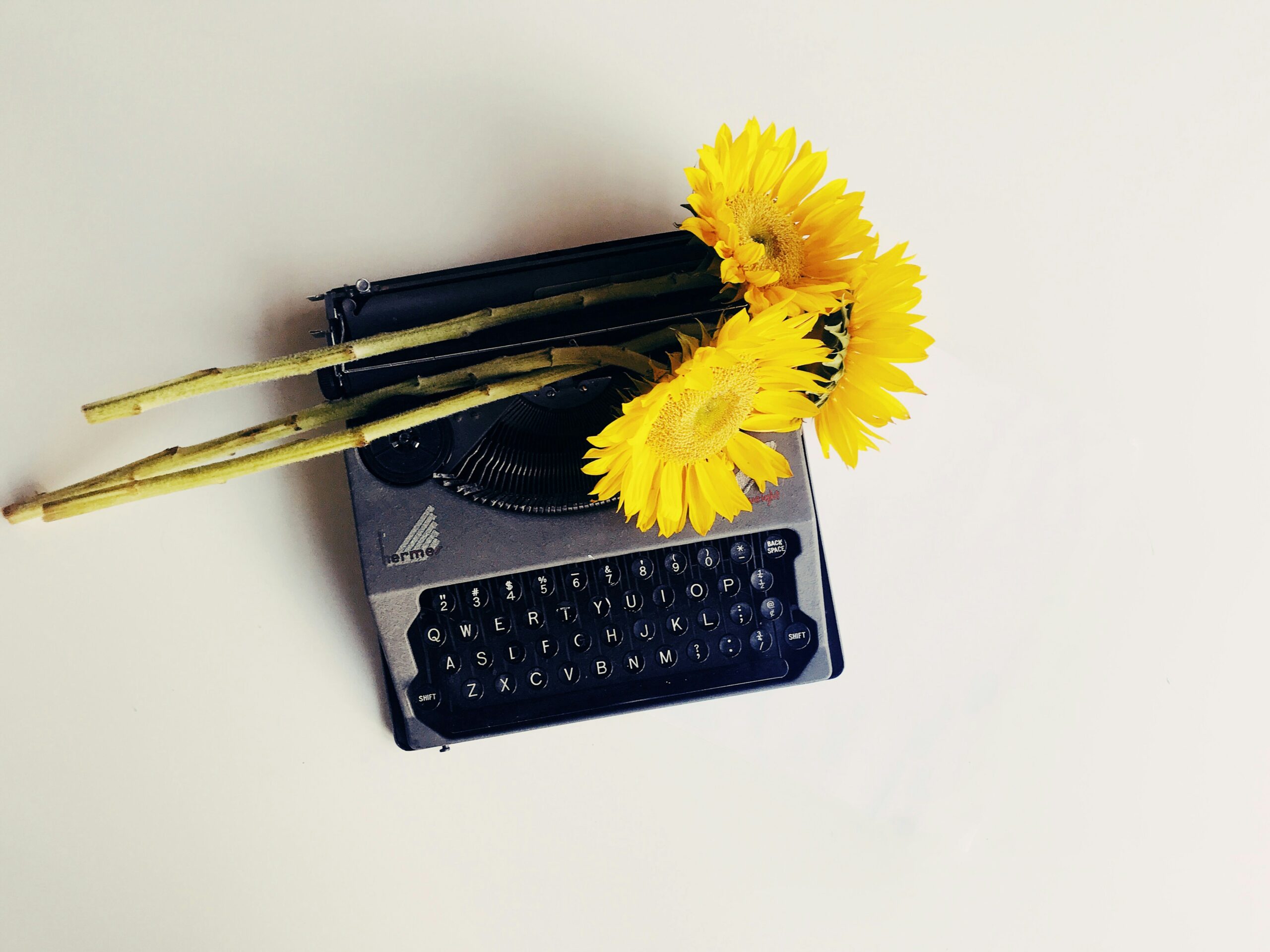 Black typewriter on a white background, with 2 sunflowers on top of the typewriter.